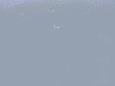 252451_462446240461591_486418185_n.jpg